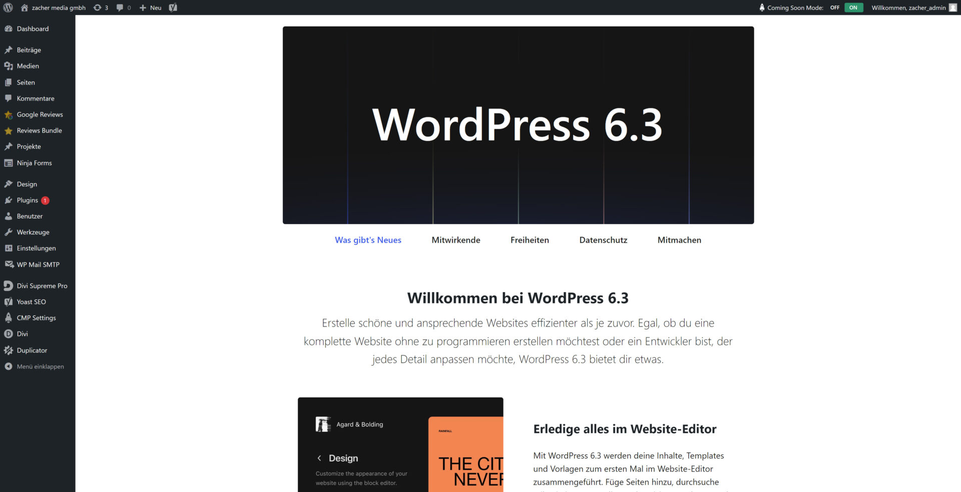 Wordpress WordPress Köln
