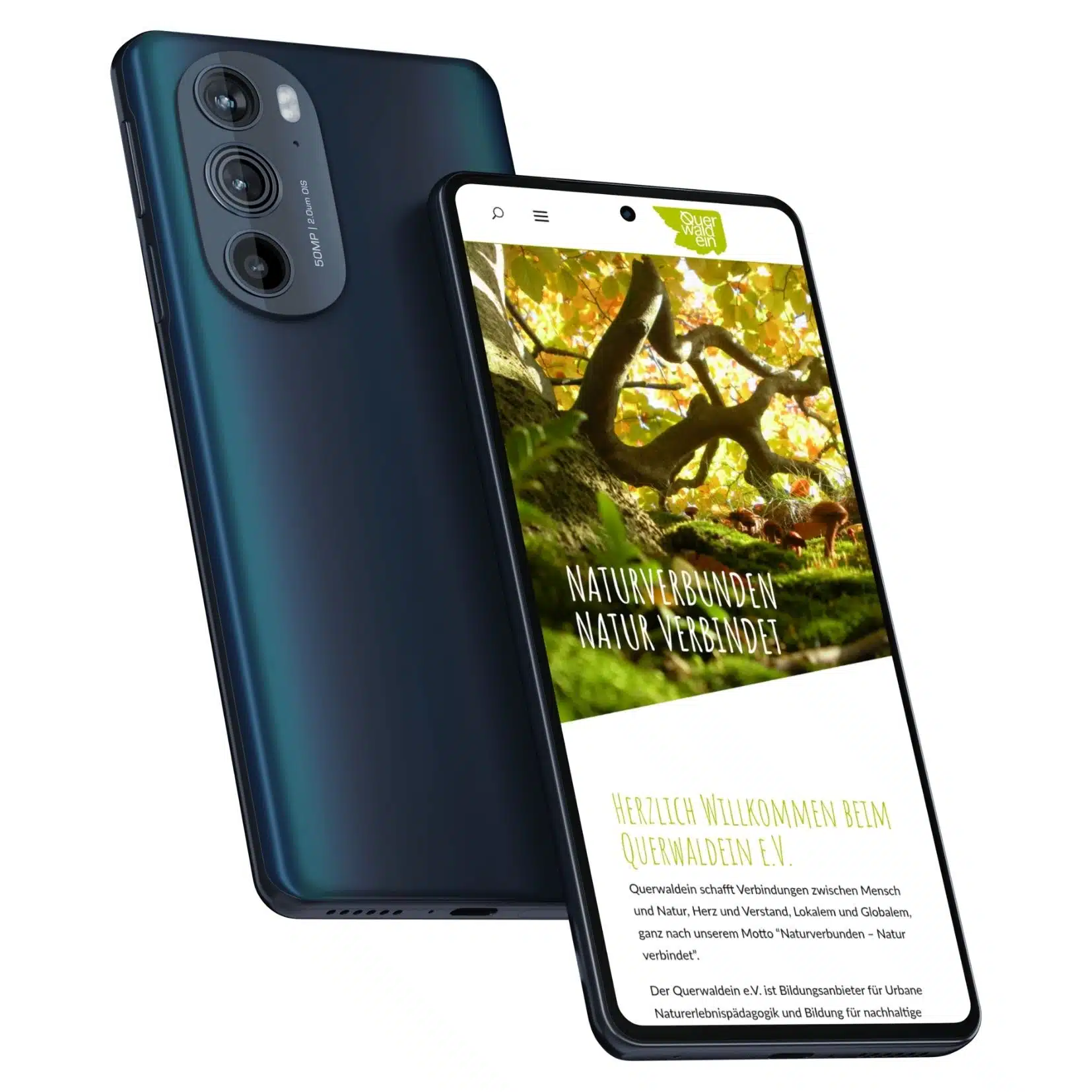 Webdesign Köln Referenz Querwaldein