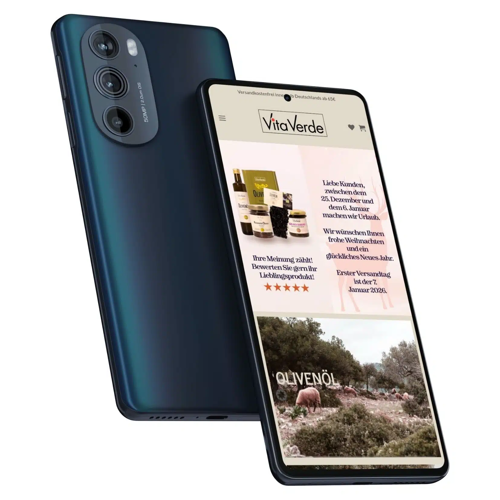 Webdesign Köln Referenz Vita Verde