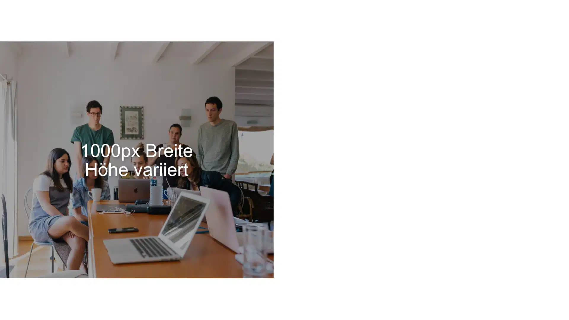 Briefing Bilder Website | Beispiel 1000 1.jpg