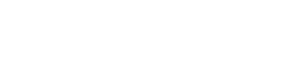 Logo Stadt weiss