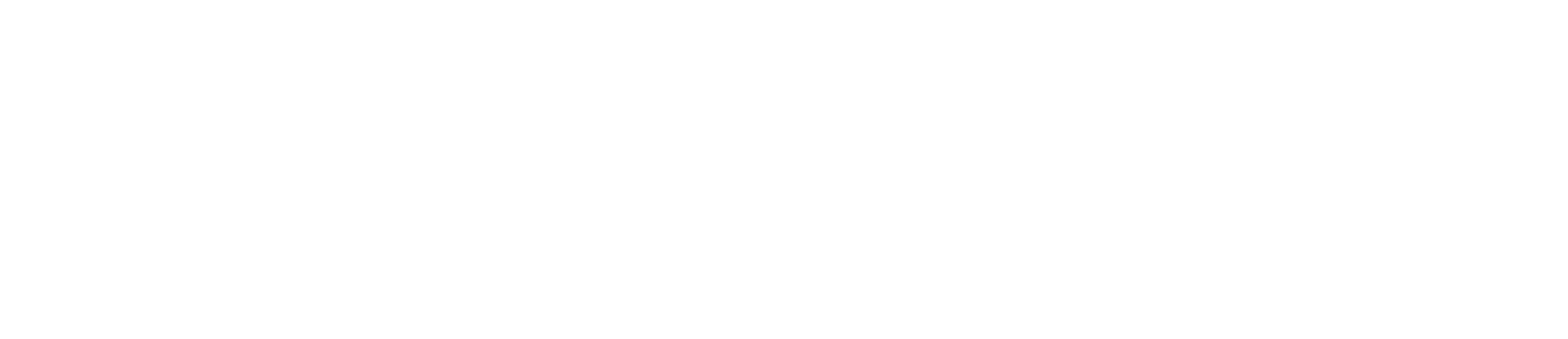 Logo Stadt weiss