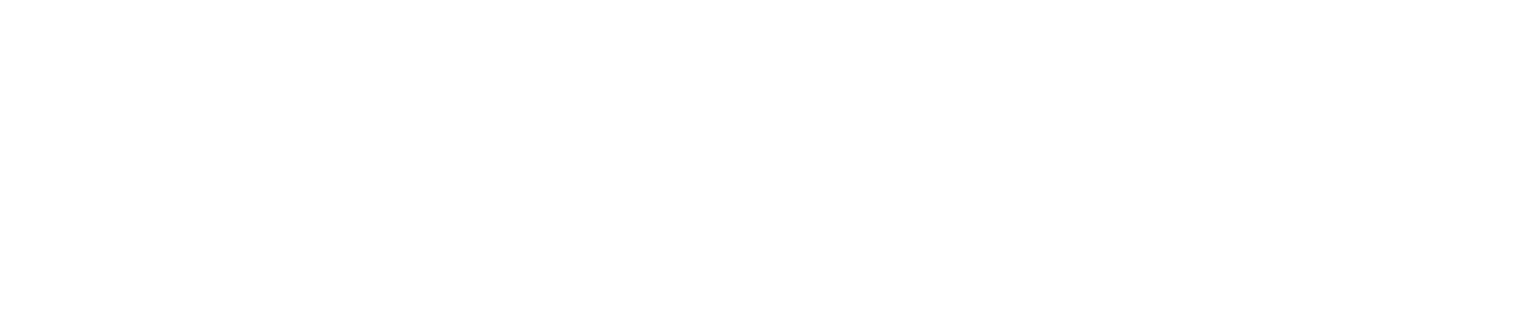 Logo Stadt weiss