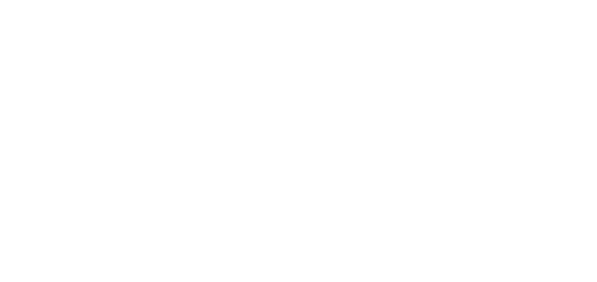 Schuster & Partner